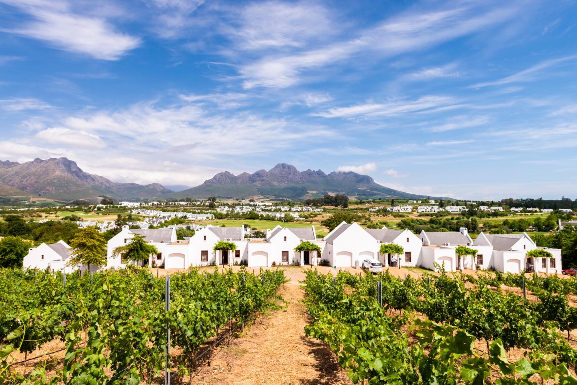 De Zalze Lodge Stellenbosch Kültér fotó